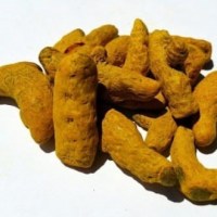 curcuma raiz entera